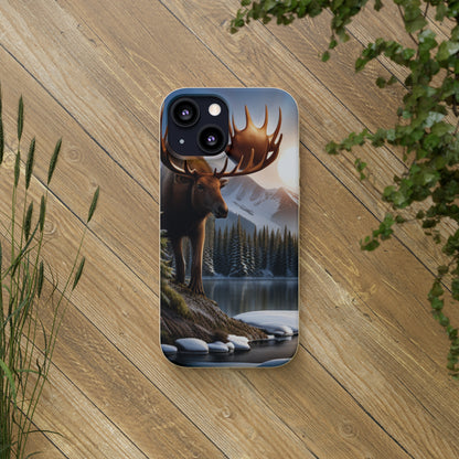 Sustainable Phone Cases: Plastic-Free & Eco-Conscious