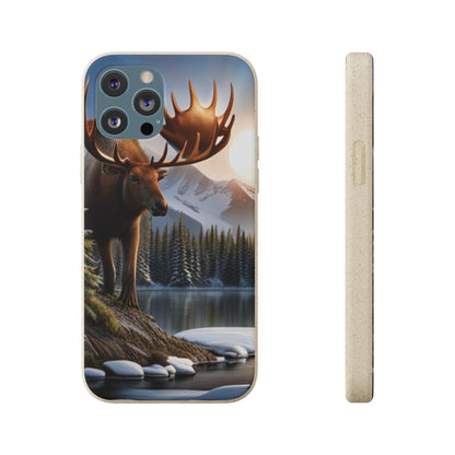 Sustainable Phone Cases: Plastic-Free & Eco-Conscious