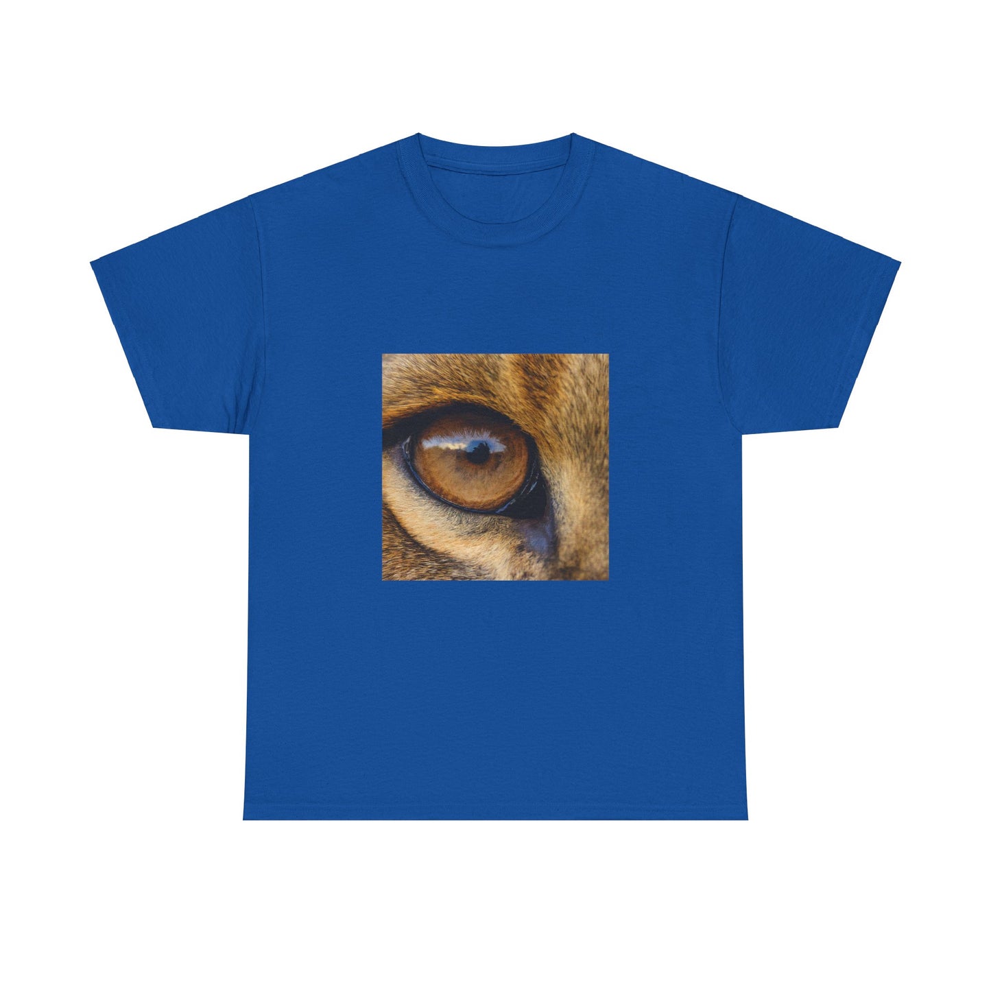 Piercing Eagle Eye Graphic Tee