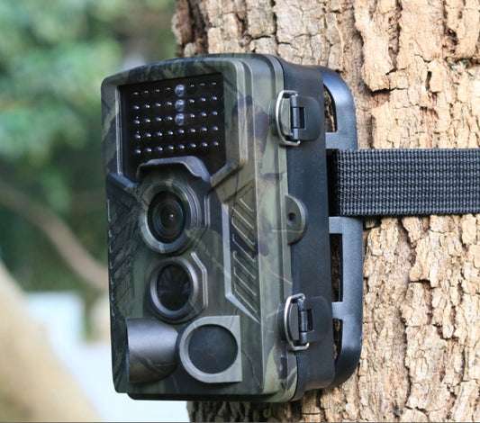 Wild hunting camera