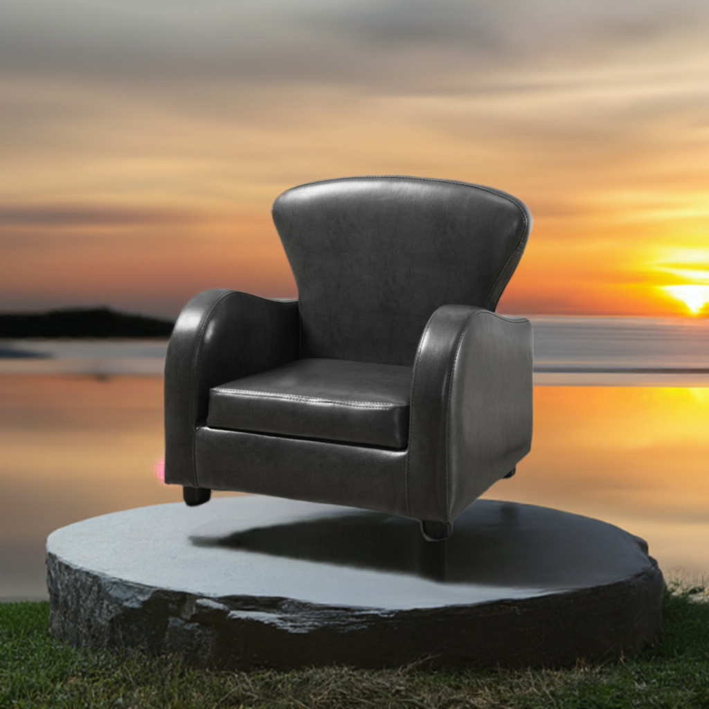 best 20" Charcoal Grey Leather Look and Solid Wood Foam Chair Furniture shop online at M2K Trends for furniture