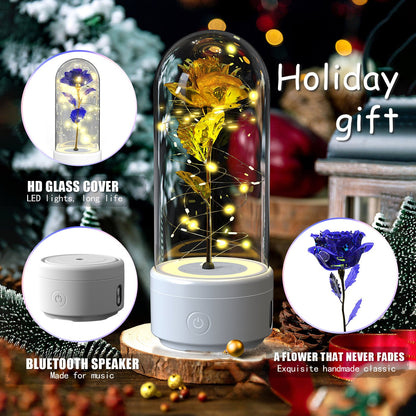 best Creative 2 In 1 Rose Flowers LED Light And Bluetooth Speaker Valentine's Day Gift Rose Luminous Night Light Ornament In Glass Cover valentine lights shop online at M2K Trends for valentines