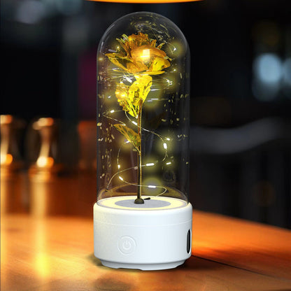 best Creative 2 In 1 Rose Flowers LED Light And Bluetooth Speaker Valentine's Day Gift Rose Luminous Night Light Ornament In Glass Cover valentine lights shop online at M2K Trends for valentines