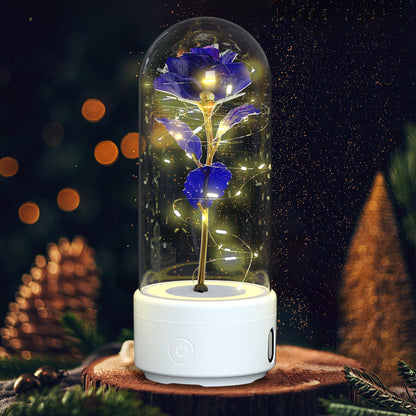 best Creative 2 In 1 Rose Flowers LED Light And Bluetooth Speaker Valentine's Day Gift Rose Luminous Night Light Ornament In Glass Cover valentine lights shop online at M2K Trends for valentines