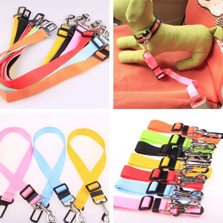 best Fixed Strap Polyester Dog Strap Dog Leash Dog Leash 0 shop online at M2K Trends for