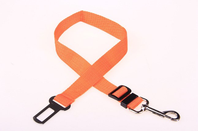 best Fixed Strap Polyester Dog Strap Dog Leash Dog Leash 0 shop online at M2K Trends for