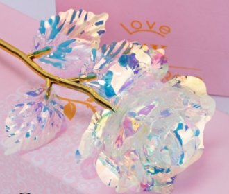 best Golden Rose Valentine's Day Gift Accessories shop online at M2K Trends for gift