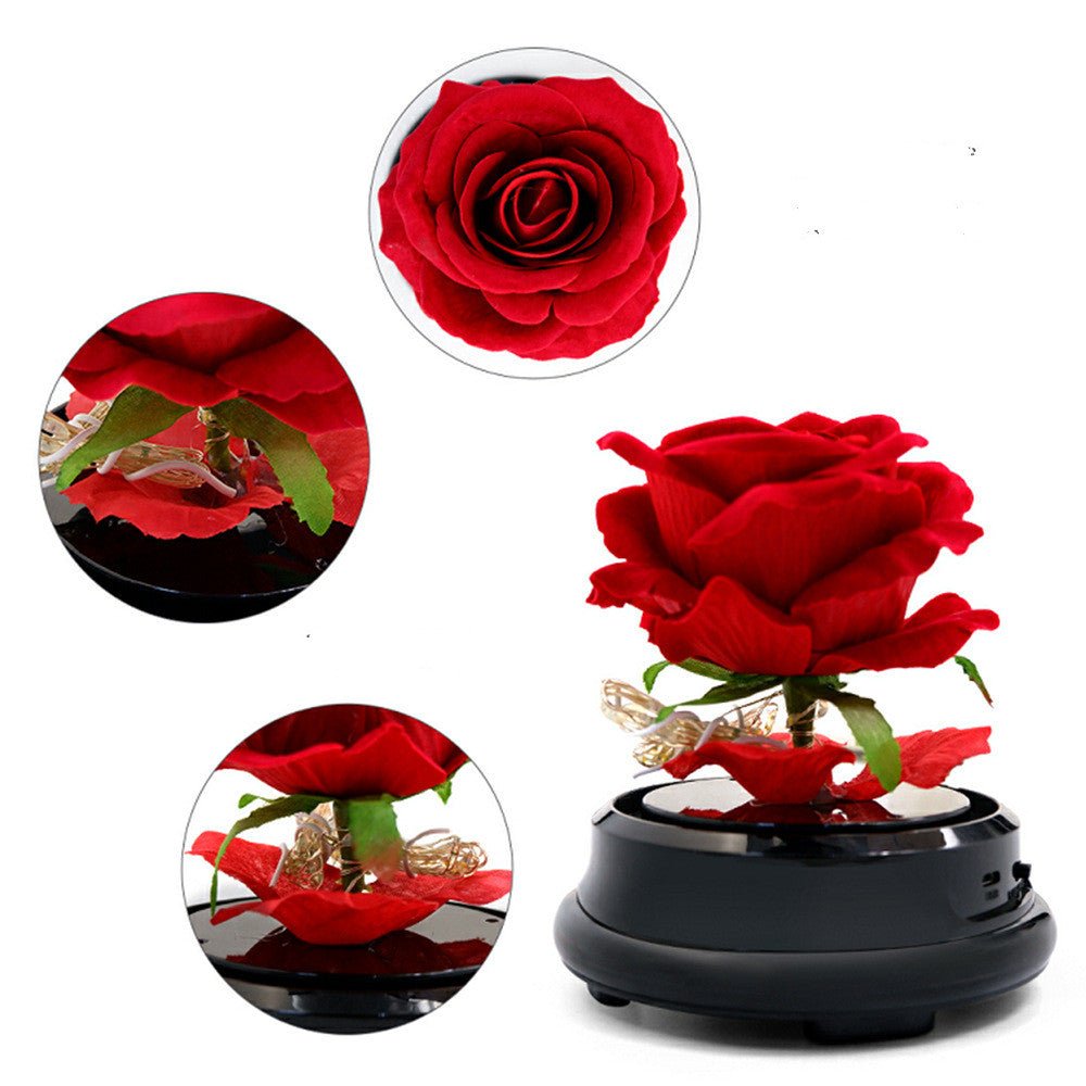 best Mother Day Gift Dried Flowers Eternal Real Rose Home Decor Accessories shop online at M2K Trends for gift