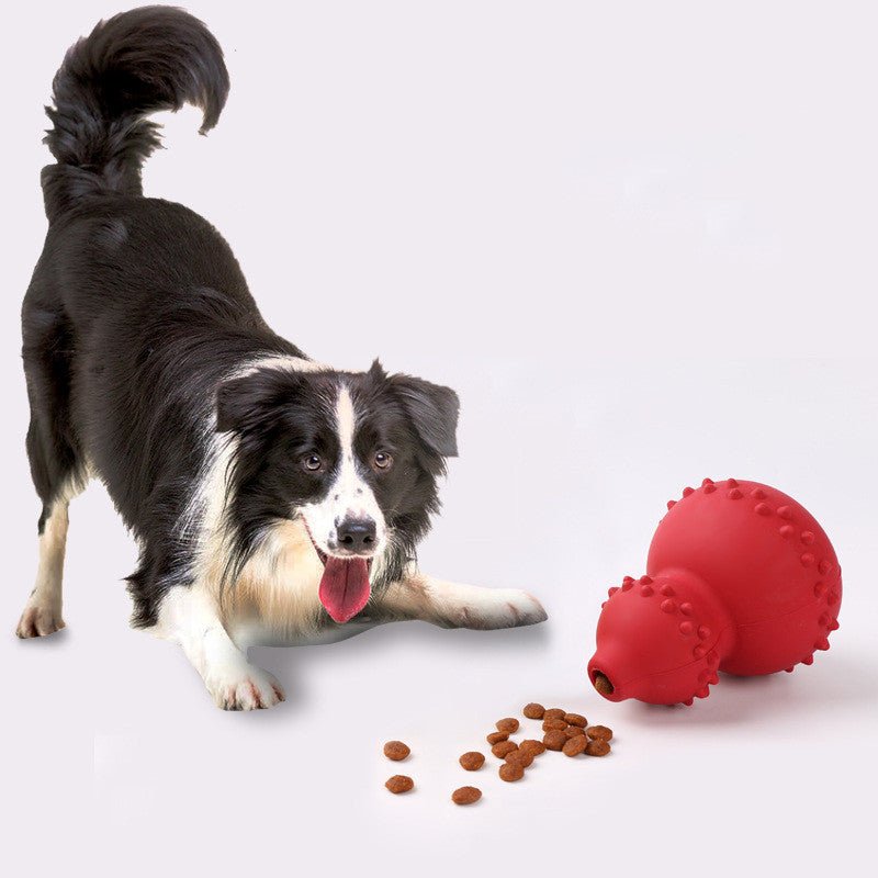 best Pet Toy Natural Rubber Resistant To Biting And Grinding Teeth 0 shop online at M2K Trends for pet