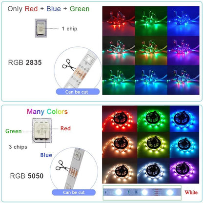 best RGB LED Strip 5M 10M 15M SMD 5050 2835 Waterproof DC12V Light Smart Lighting shop online at M2K Trends for LED Lighting