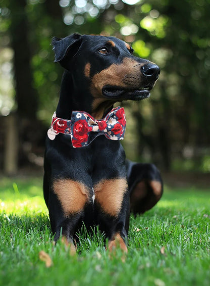 best Unique Style Paws Dog Collar Flower Cotton Fabric Dog Collar and Bow shop online at M2K Trends for