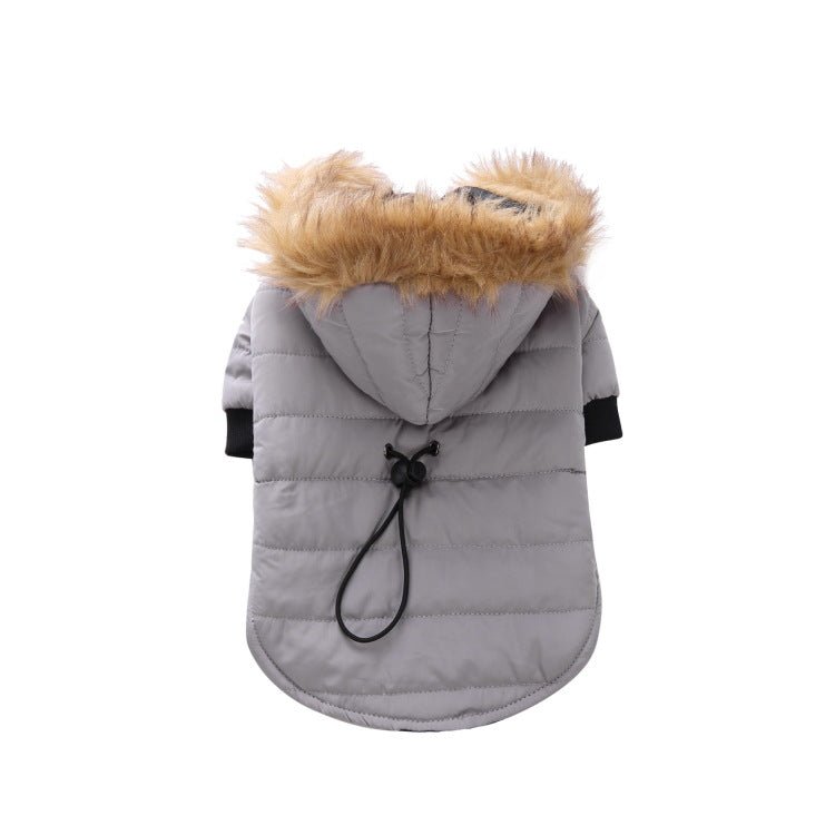 best Winter clothing for pets dog clothes shop online at M2K Trends for dog clothes