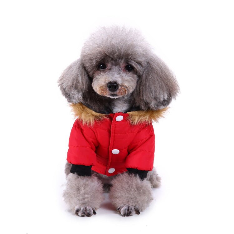 best Winter clothing for pets dog clothes shop online at M2K Trends for dog clothes