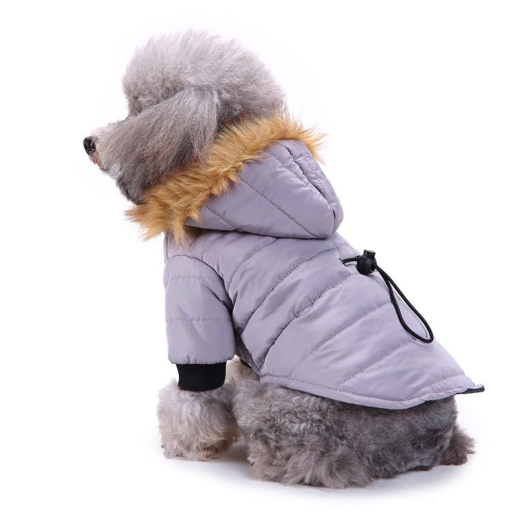 best Winter clothing for pets dog clothes shop online at M2K Trends for dog clothes