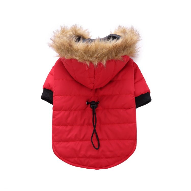 best Winter clothing for pets dog clothes shop online at M2K Trends for dog clothes