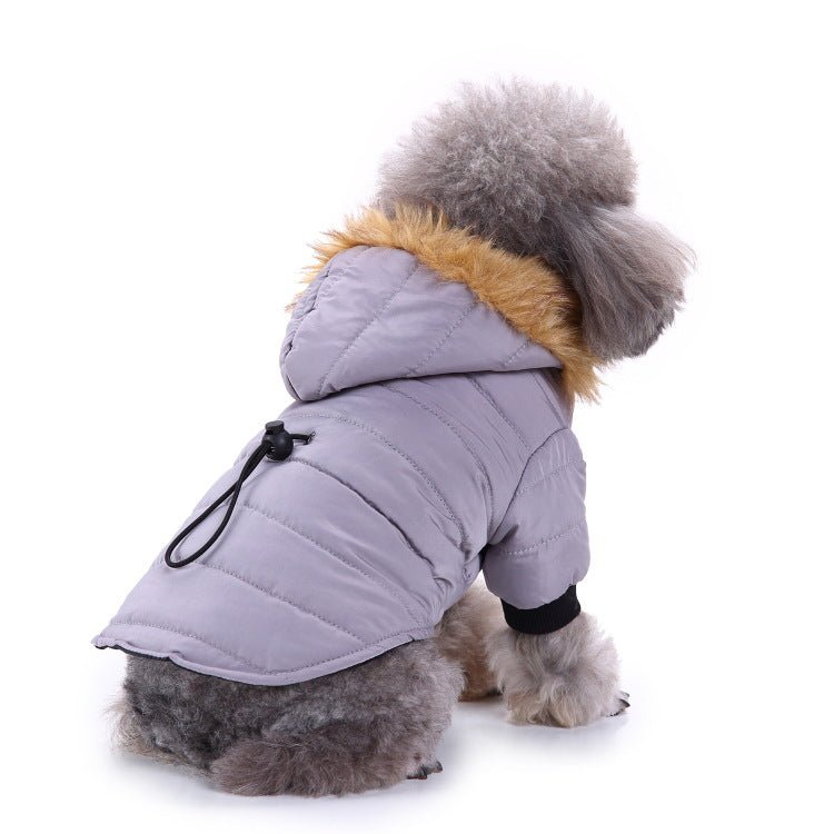 best Winter clothing for pets dog clothes shop online at M2K Trends for dog clothes